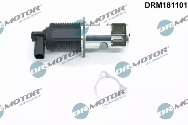 DR.MOTOR ZAWÓR EGR DRM181101 