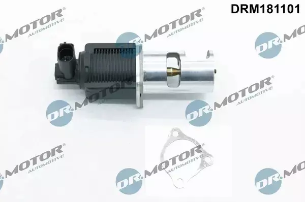 DR.MOTOR ZAWÓR EGR DRM181101 