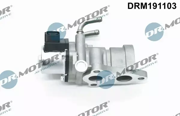 DR.MOTOR ZAWÓR EGR DRM191103 