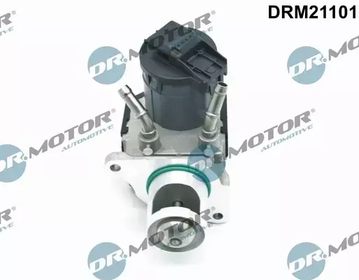 DR.MOTOR ZAWÓR EGR DRM21101 