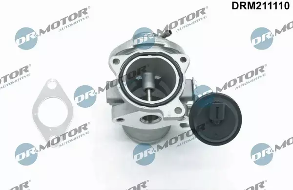 DR.MOTOR ZAWÓR EGR DRM211110 