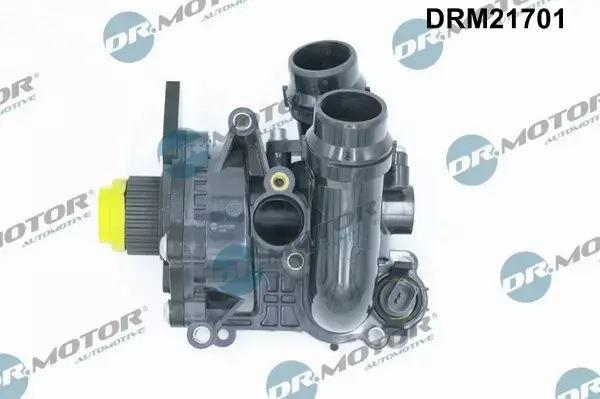 DR.MOTOR POMPA WODY DRM21701 