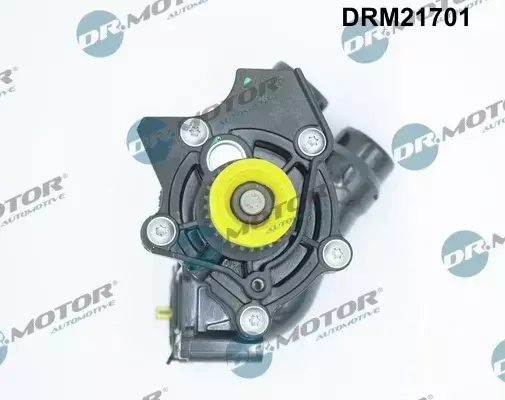 DR.MOTOR POMPA WODY DRM21701 