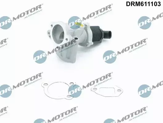 DR.MOTOR ZAWÓR EGR DRM611103 