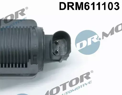 DR.MOTOR ZAWÓR EGR DRM611103 