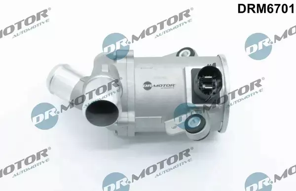 DR.MOTOR POMPA WODY DRM6701 