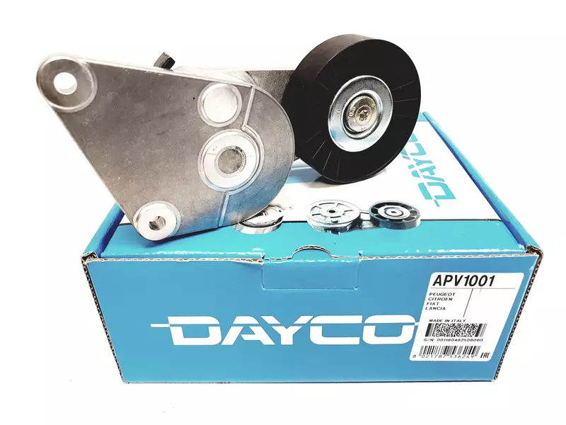 DAYCO NAPINACZ PASKA CITROEN BERLINGO 1.8