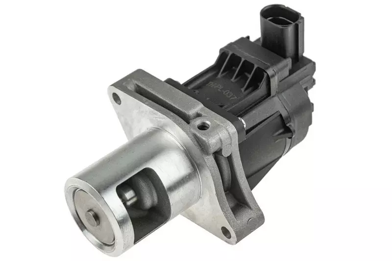 NTY ZAWÓR EGR EGR-PL-037