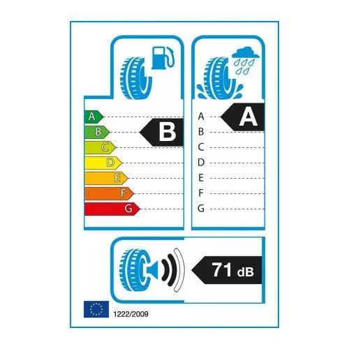 BRIDGESTONE BLIZZAK LM005 215/60R17 100 V PRZYCZEPNOŚĆ NA ŚNIEGU (3PMSF), WZMOCNIENIE (XL) 