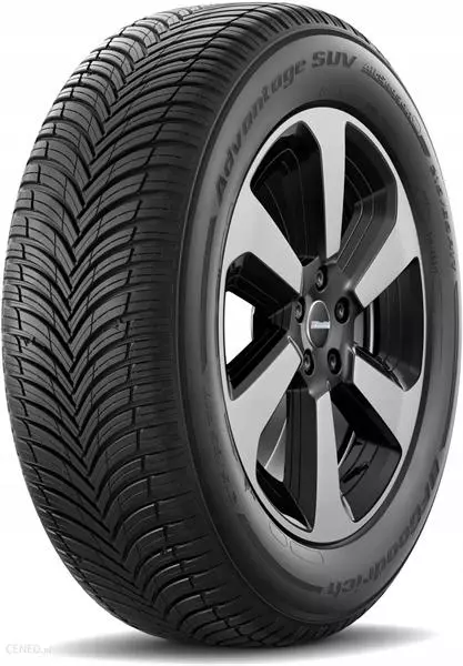 2xBFGOODRICH ADVANTAGE SUV ALL-SEASON 255/45R20 101 W PRZYCZEPNOŚĆ NA ŚNIEGU (3PMSF)