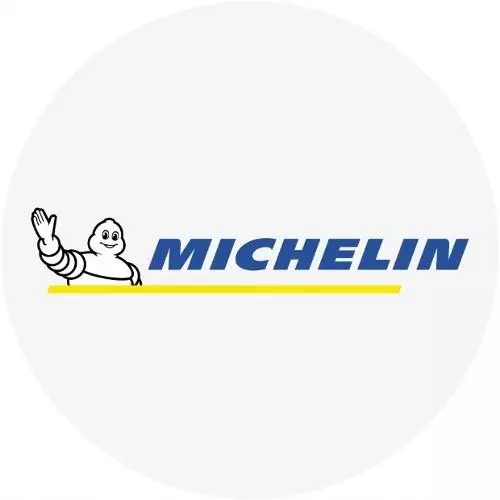 2xMICHELIN PILOT SPORT CUP 2 R CONNECT 245/35R20 95 Y RANT OCHRONNY, WZMOCNIENIE (XL) 