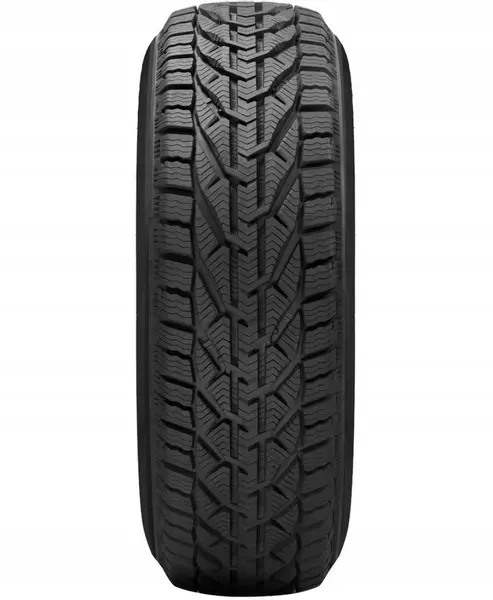 RIKEN SNOW 195/65R15 91 H