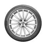 MICHELIN CROSSCLIMATE+ 225/50R17 98 W PRZYCZEPNOŚĆ NA ŚNIEGU (3PMSF), WZMOCNIENIE (XL) 