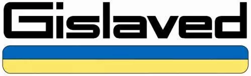 GISLAVED EURO*FROST 6 225/50R17 98 V PRZYCZEPNOŚĆ NA ŚNIEGU (3PMSF), RANT OCHRONNY, WZMOCNIENIE (XL) 