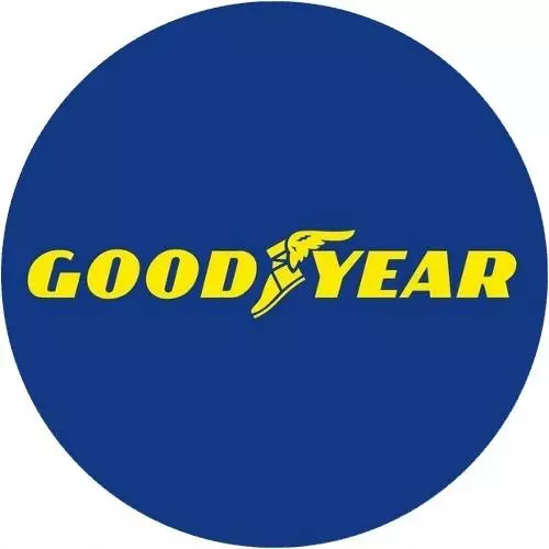 4xGOODYEAR EAGLE F1 ASYMMETRIC 2 305/30R19 102 Y RANT OCHRONNY, WZMOCNIENIE (XL) 