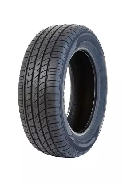 FORTUNE FSR303 245/55R19 103 W RANT OCHRONNY