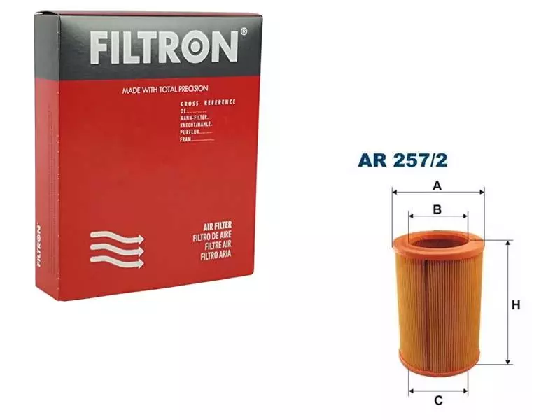 FILTRON FILTR POWIETRZA AR 257/2