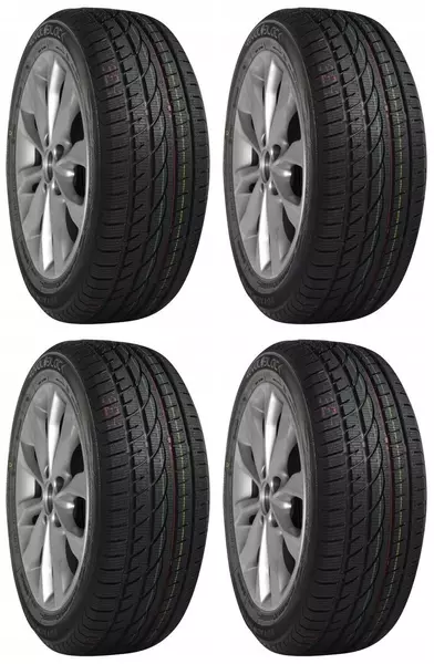 4xROYAL BLACK ROYALWINTER 245/45R18 100 V RANT OCHRONNY