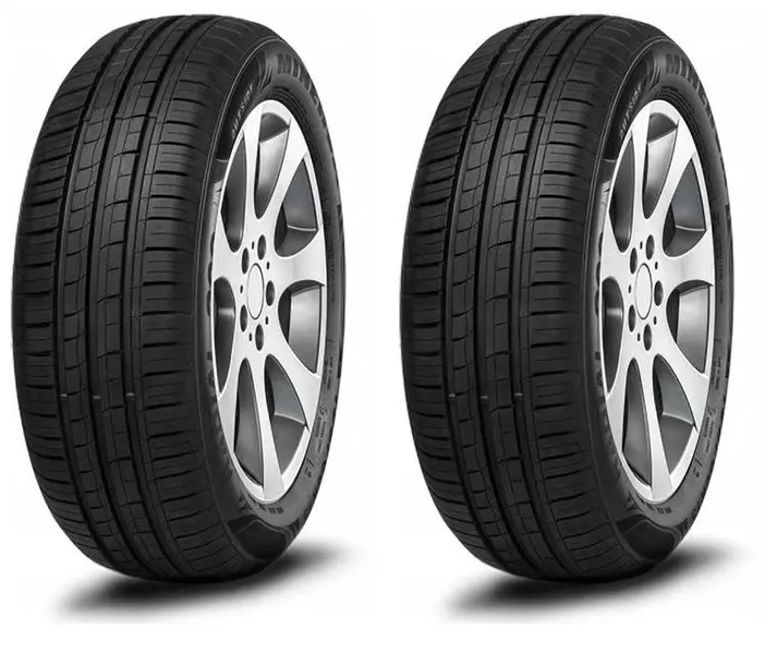 2xMINERVA 209 195/65R15 91 V