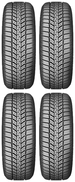 4xSAVA ESKIMO SUV 2 255/55R18 109 H PRZYCZEPNOŚĆ NA ŚNIEGU (3PMSF), WZMOCNIENIE (XL)