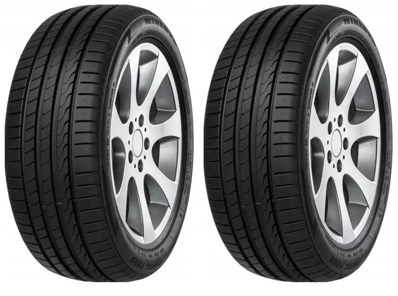 2xMINERVA F205 225/50R17 94 W