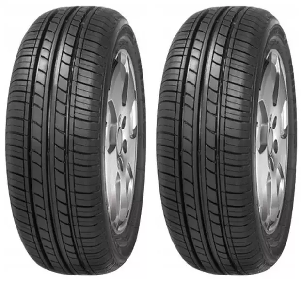 2xMINERVA F109 185/50R14 77 V