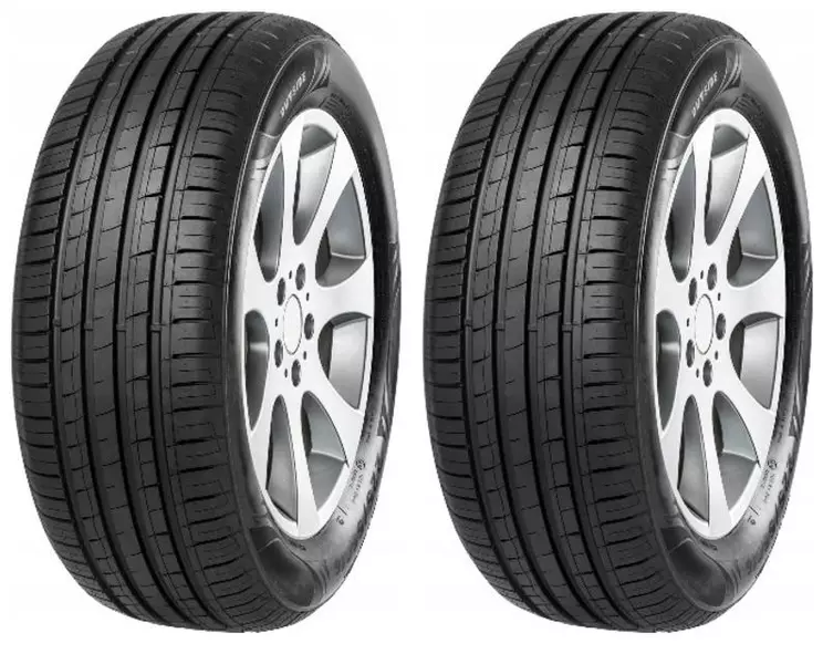 2xTRISTAR ECOPOWER 4 205/55R16 91 H