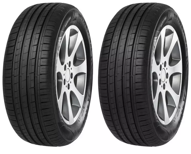 2xMINERVA F209 205/55R16 94 V WZMOCNIENIE (XL)