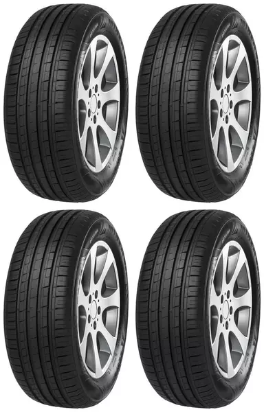 4xMINERVA F209 205/55R16 94 V WZMOCNIENIE (XL)