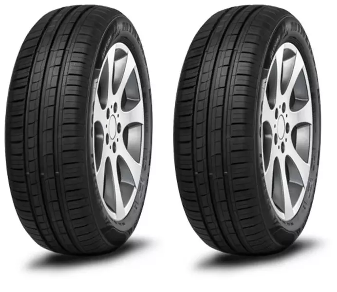 2xMINERVA 209 175/65R13 80 T