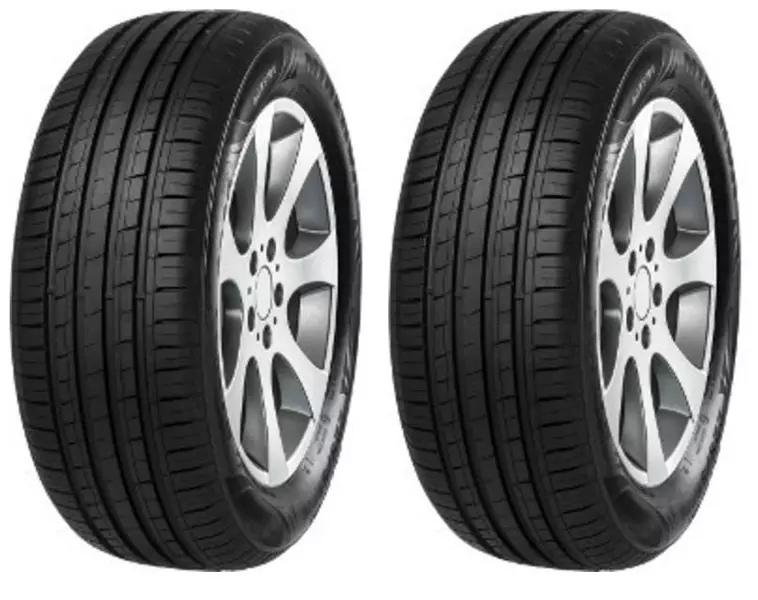 2xMINERVA F209 205/65R15 94 V